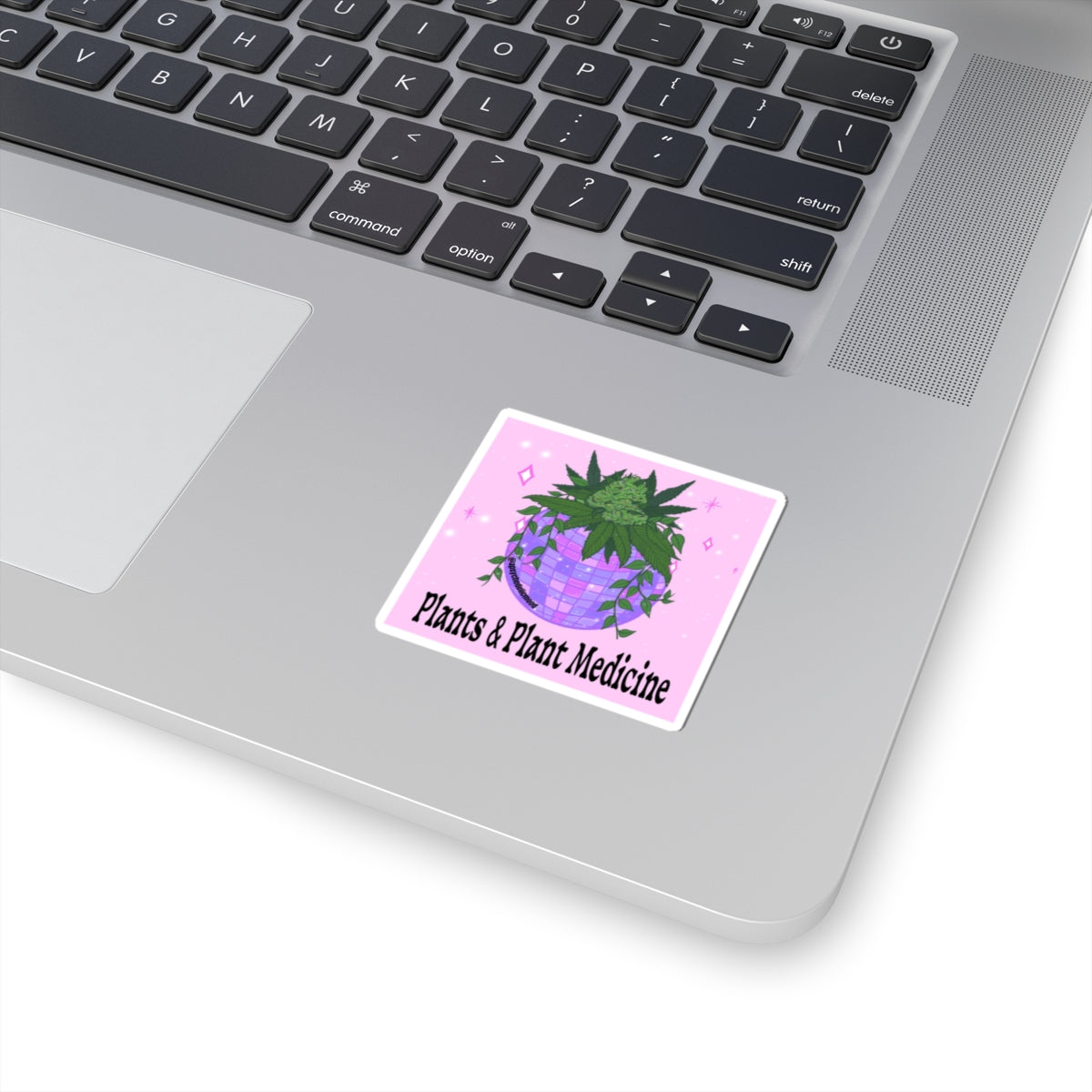 Plants and Plant Medicine Kiss-Cut Stickers