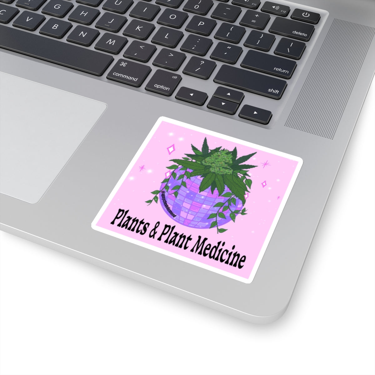 Plants and Plant Medicine Kiss-Cut Stickers